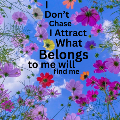 I Don't Chase I Attract What Belongs To Me Will Find Me Affirmation Quote