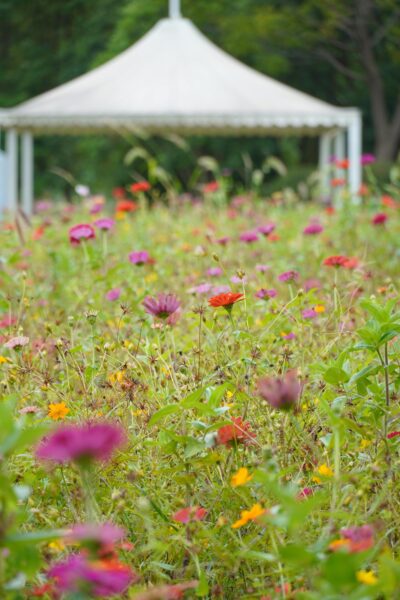 Creating a Vision Board